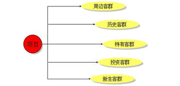 创业前的定心丸 如何进行前期市场调查